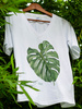 Swiss cheese plant — premium  t-shirt