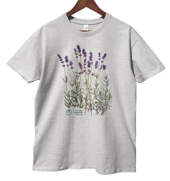 Lavender 'Hidcote' — classic t-shirt