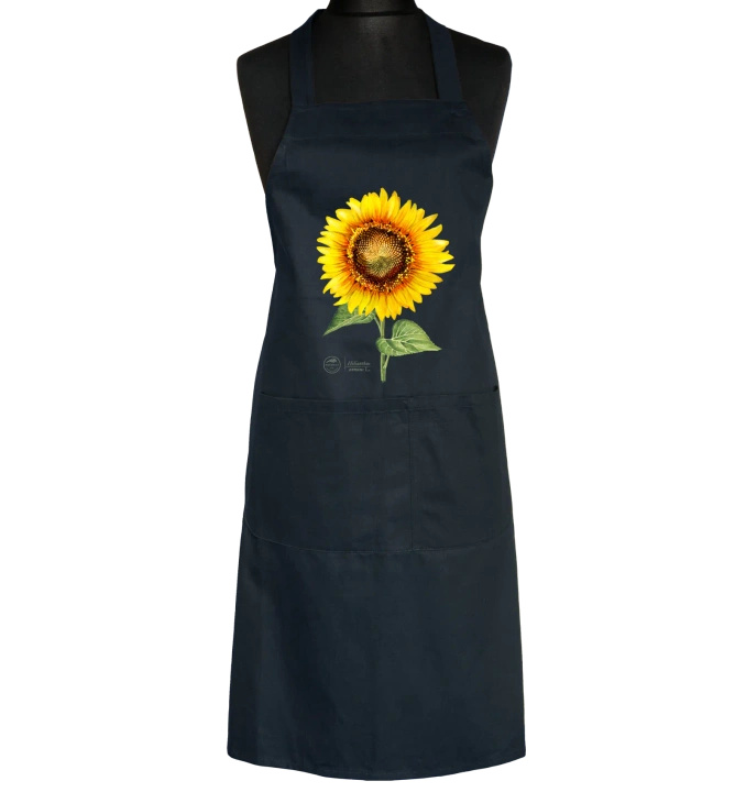 Common sunflower — apron with pockets