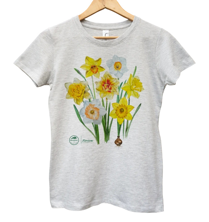 Daffodils — women's t-shirt