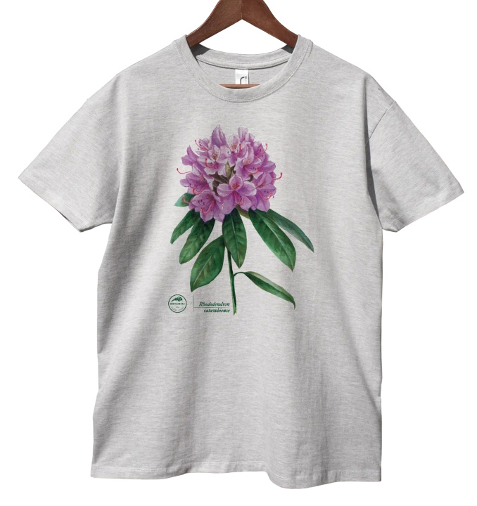 Catawba rosebay — t-shirt classic