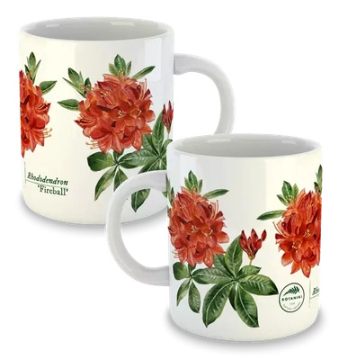 Rhododendron 'Fireball' — classic mug