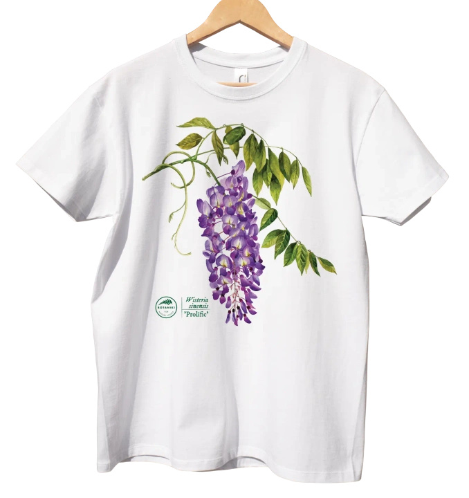 Chinese wisteria 'Prolific' — classic t-shirt