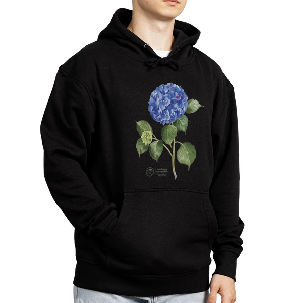 French hydrangea 'Jip Blue' — hoodie