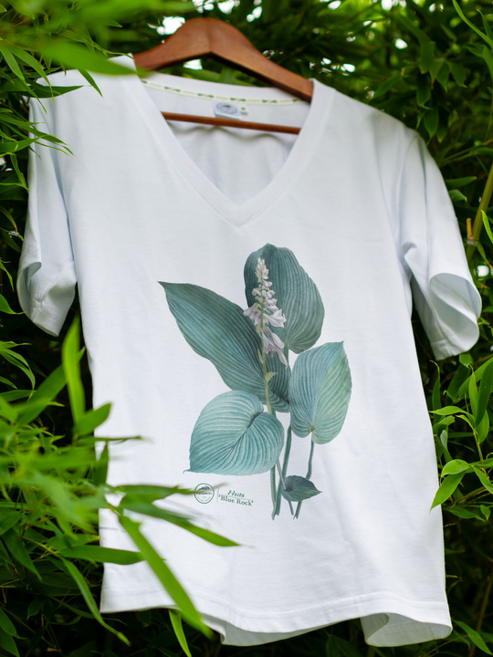 Hosta 'Blue Rock' — premium  t-shirt