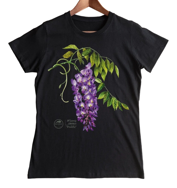 Chinese wisteria 'Prolific' — women's t-shirt