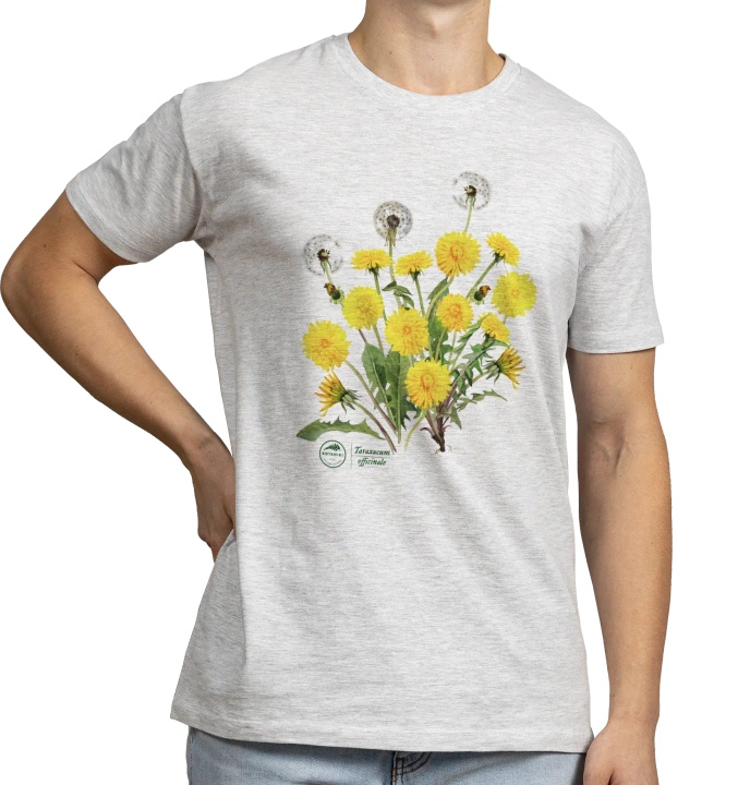 Dandelion — classic t-shirt