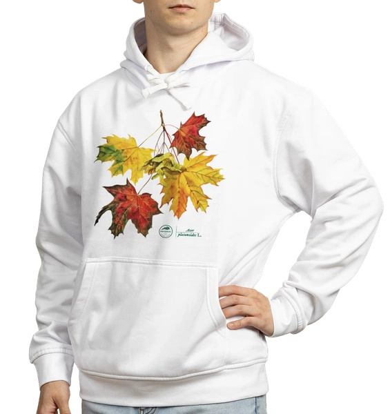 Norway maple — hoodie