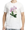 Orchid phalaenopsis — classic unisex t-shirt