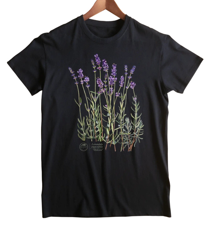 Lavender 'Hidcote' — classic t-shirt