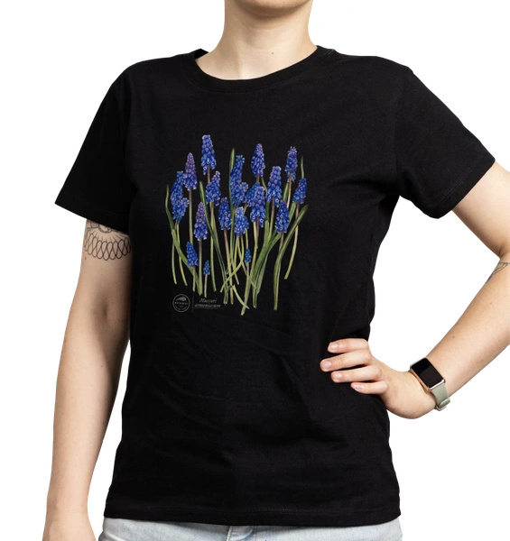 Armenian grape hyacinth — women's t-shirt