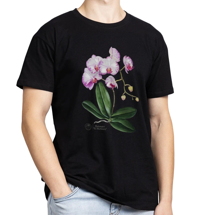 Orchid phalaenopsis — classic unisex t-shirt