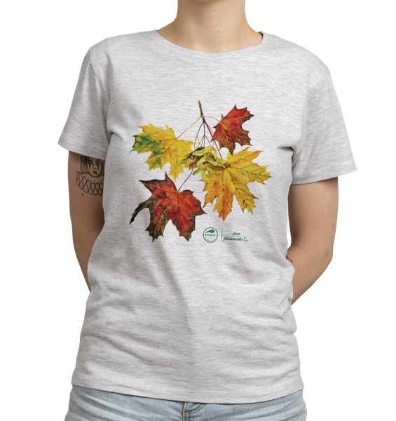 Norway maple — women's t-shirt