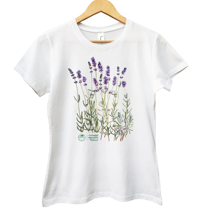 Lavender 'Hidcote' — women's t-shirt