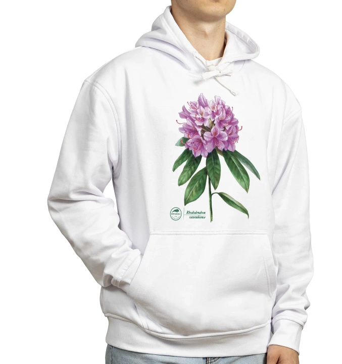 Catawba rosebay — hoodie