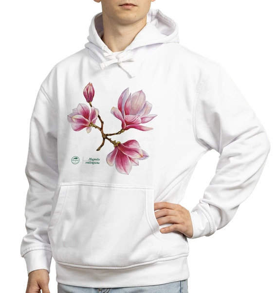 Saucer magnolia — hoodie