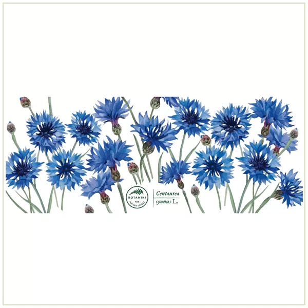 Cornflowers — classic mug