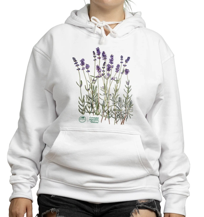Lavender 'Hidcote' — hoodie