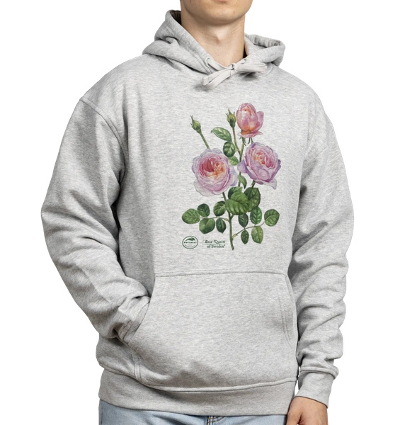 Rose 'Queen of Sweden'  — hoodie