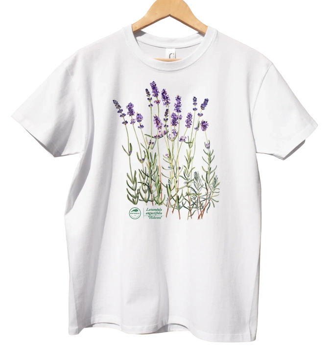 Lavender 'Hidcote' — classic t-shirt