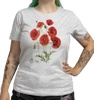 Common poppies — women's t-shirt