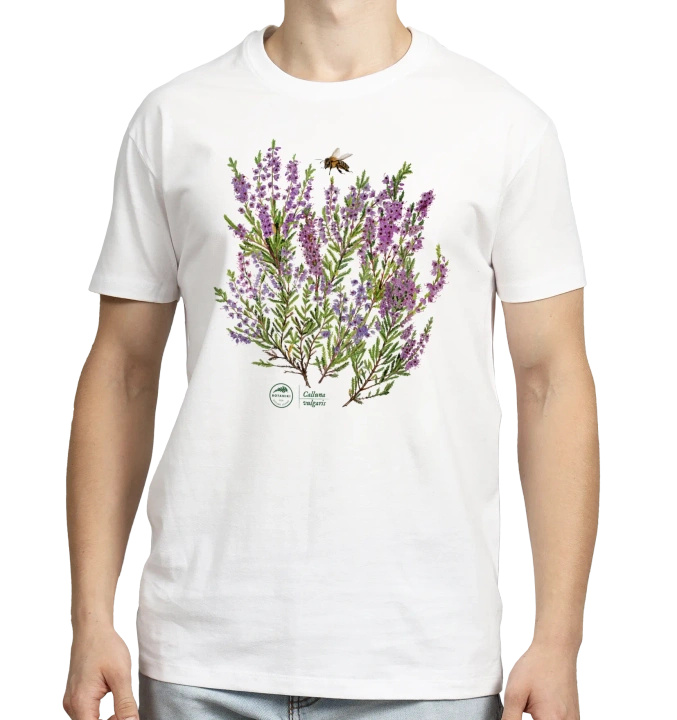 Common heather — classic t-shirt
