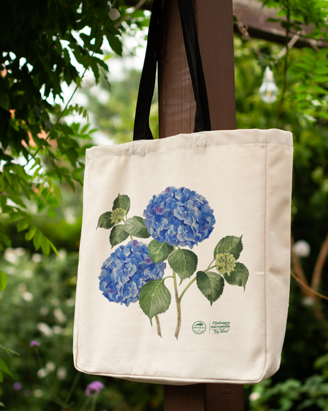 Hydrangea 'Jip Blue' — premium cotton bag