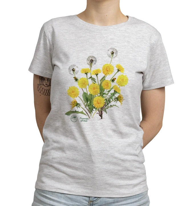 Dandelion — women's t-shirt