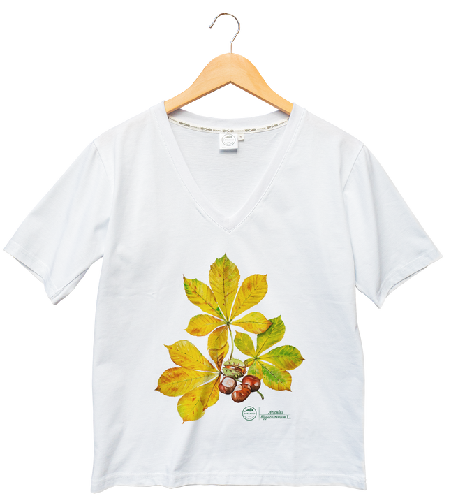 Chestnut — premium  t-shirt