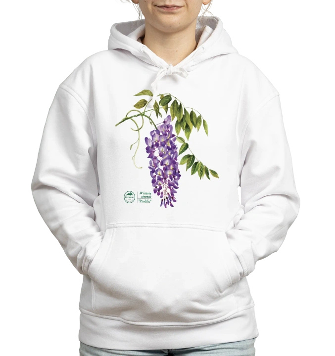 Chinese wisteria 'Prolific' — hoodie