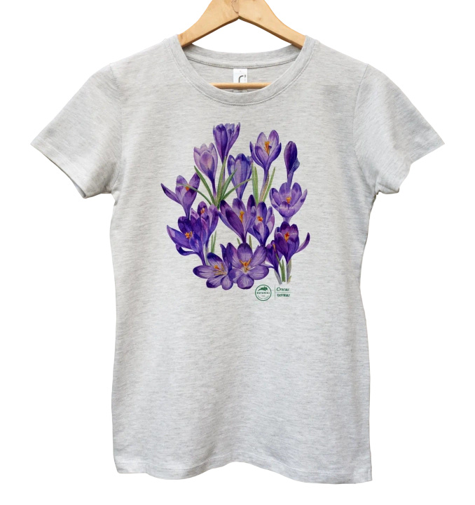 Spring crocus — women's t-shirt