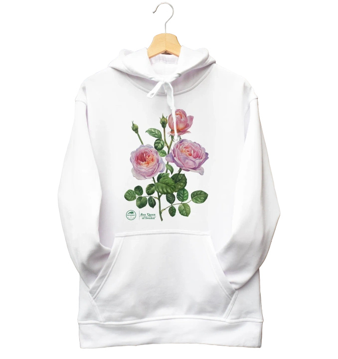 Rose 'Queen of Sweden'  — hoodie
