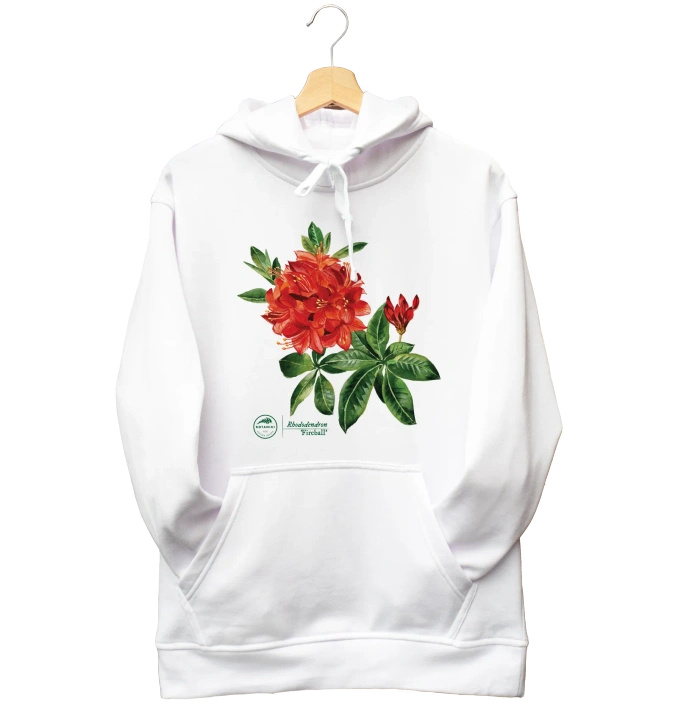 Rhododendron 'Fireball' — hoodie