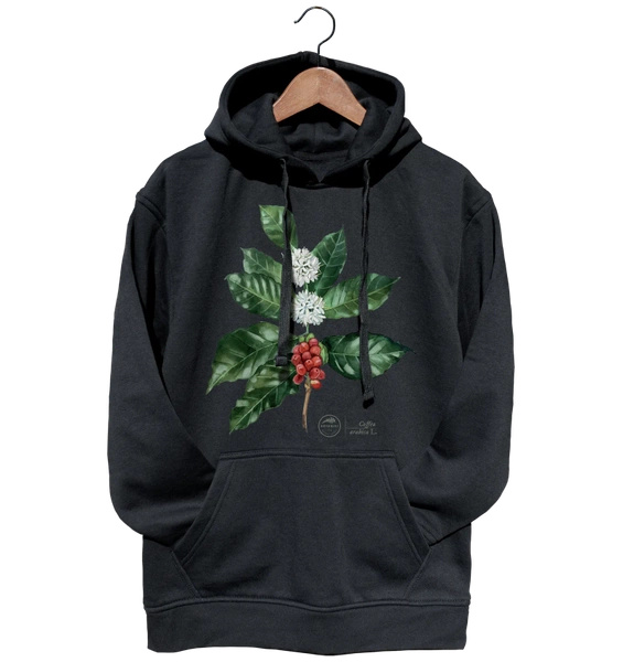 Coffea arabica — hoodie