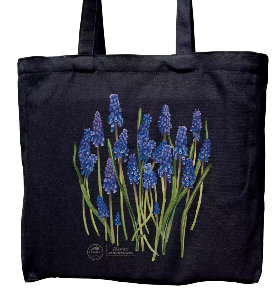 Armenian grape hyacinth — premium cotton bag