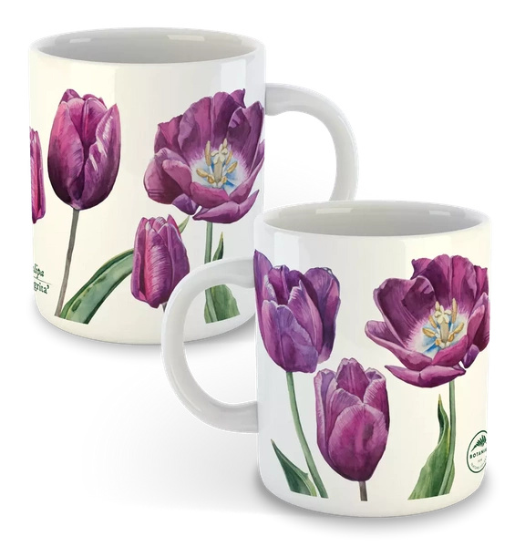 Tulip 'Negrita' — classic mug