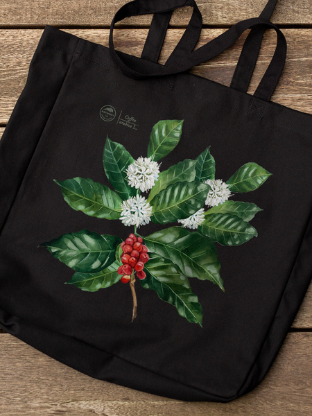 Coffea arabica — premium cotton bag