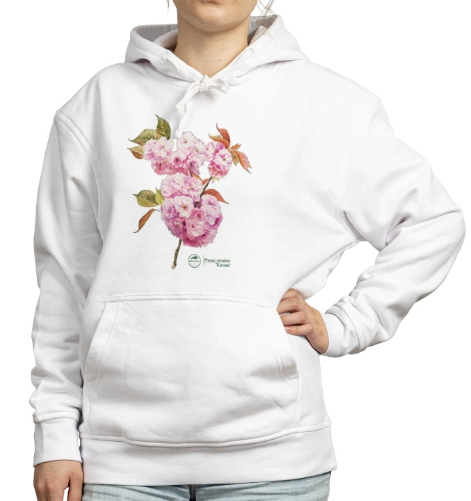 Cherry blossom 'Kanzan' — hoodie