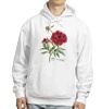 Chinese peony 'Red Magic' — hoodie