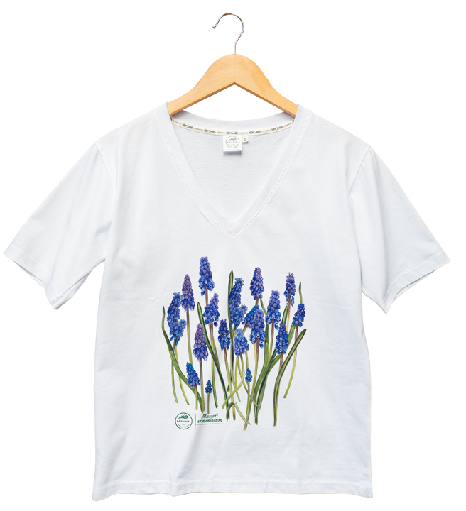 Armenian grape hyacinth — premium  t-shirt