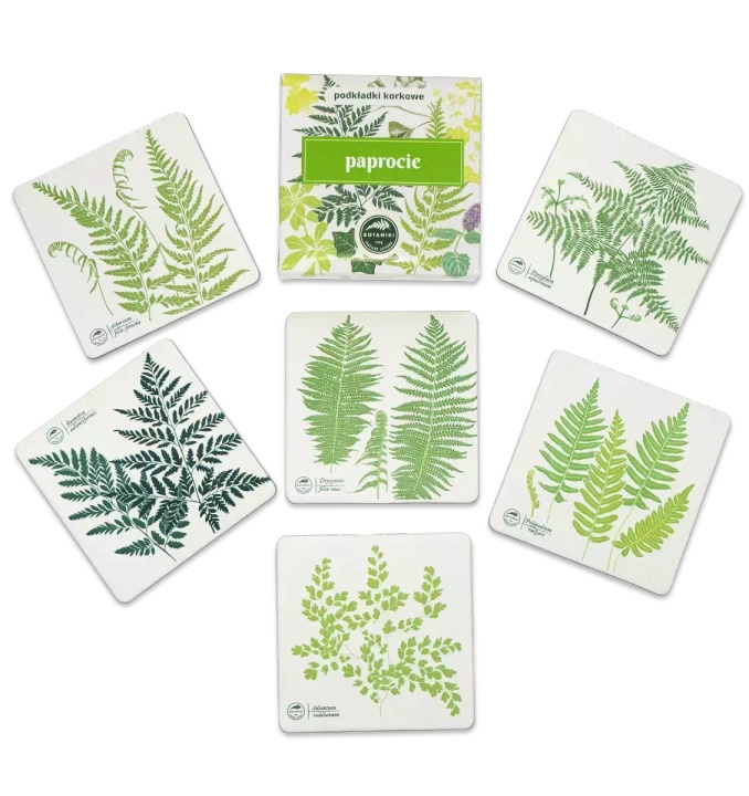 Ferns — cork coasters