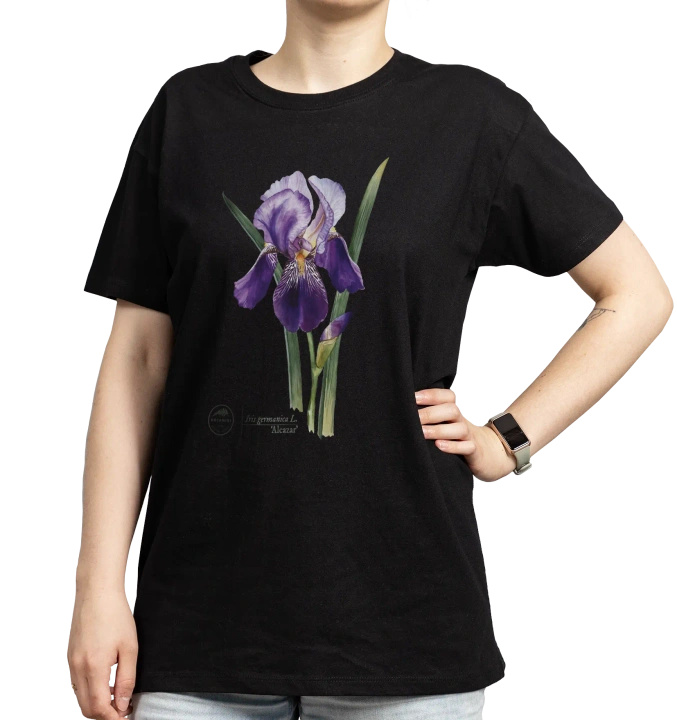 Iris 'Alcazar' — classic t-shirt