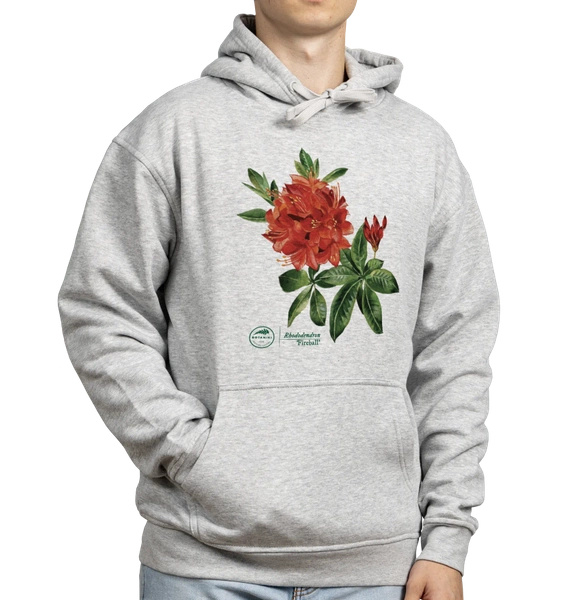 Rhododendron 'Fireball' — hoodie