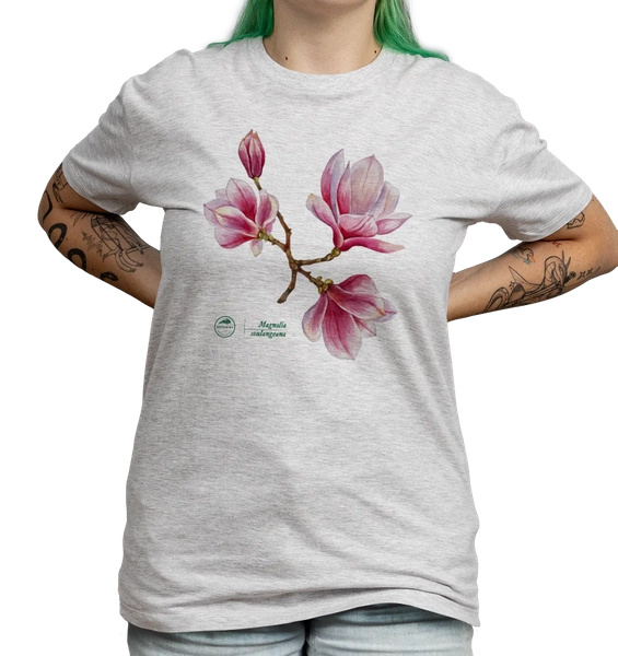 Saucer magnolia — classic t-shirt