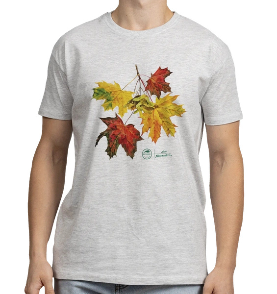 Norway maple — classic t-shirt