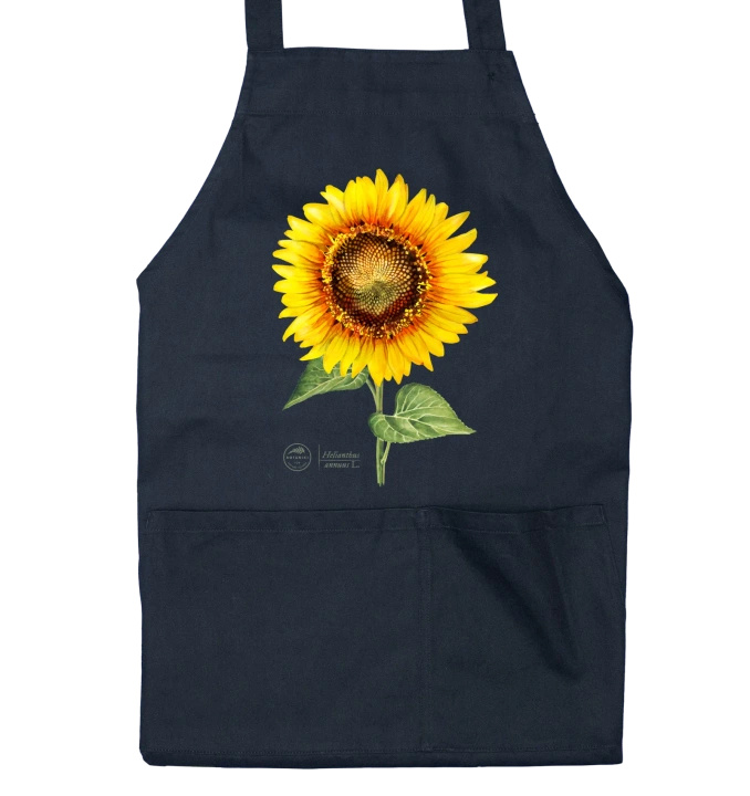 Common sunflower — apron with pockets