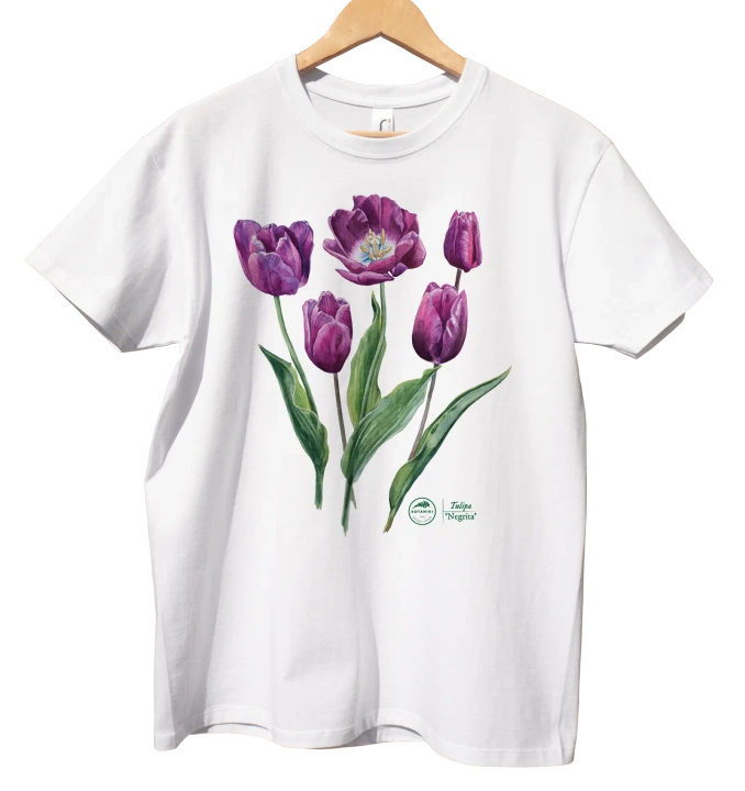 Tulip 'Negrita' — classic t-shirt