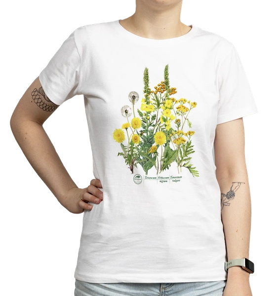 Golden herbs — women's t-shirt