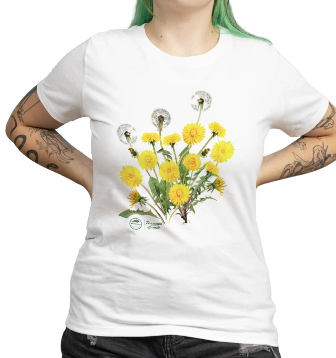 Dandelion — women's t-shirt