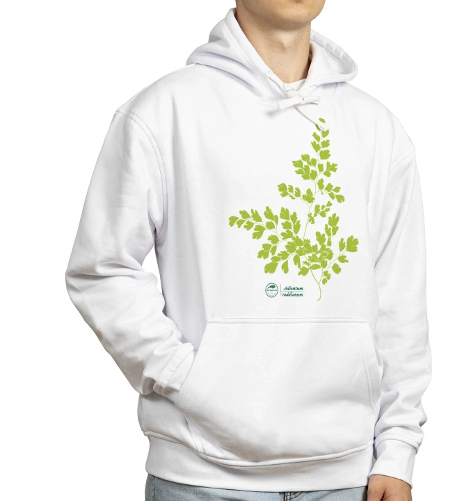 Maidenhair fern — hoodie